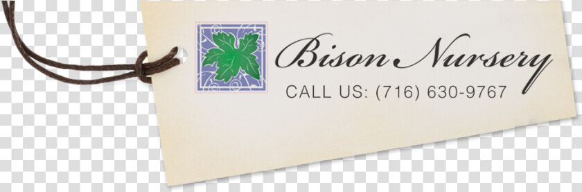 Bison Nursery Logo   Label  HD Png DownloadTransparent PNG