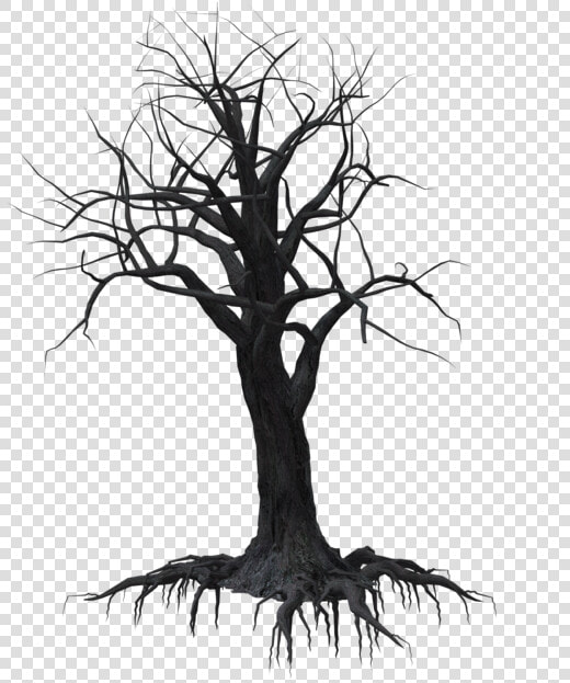 Free Tree Png Black And White Broken Tree   Tree  Transparent PngTransparent PNG