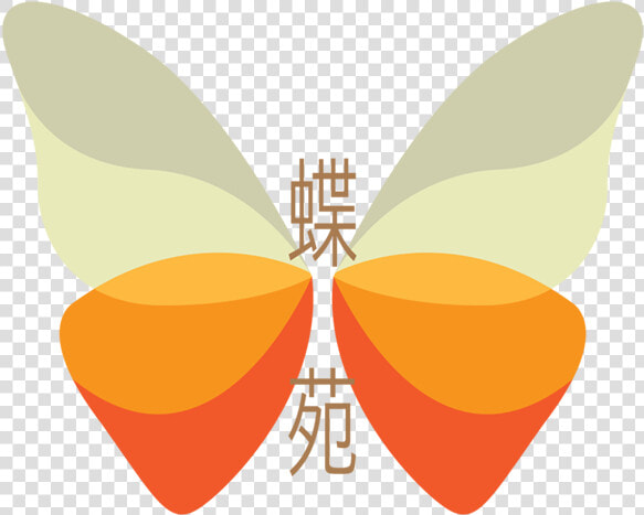 Net winged Insects  HD Png DownloadTransparent PNG