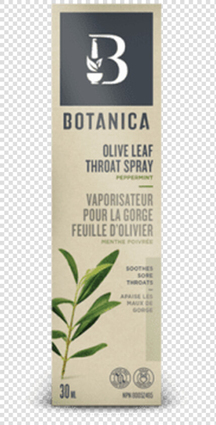 Olive Leaf Extract Canada  HD Png DownloadTransparent PNG