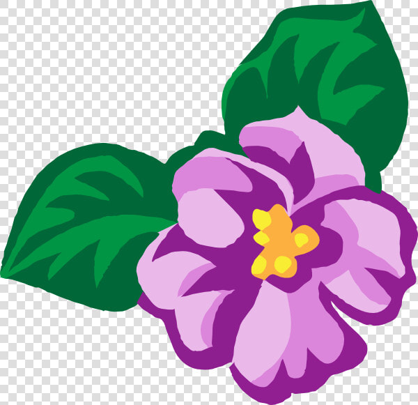 Violet Transparent Png   African Violet Clip Art  Png DownloadTransparent PNG