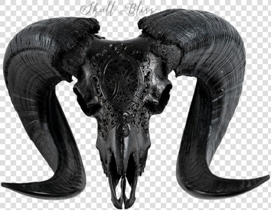 Carved Ram Skull   Horn  HD Png DownloadTransparent PNG