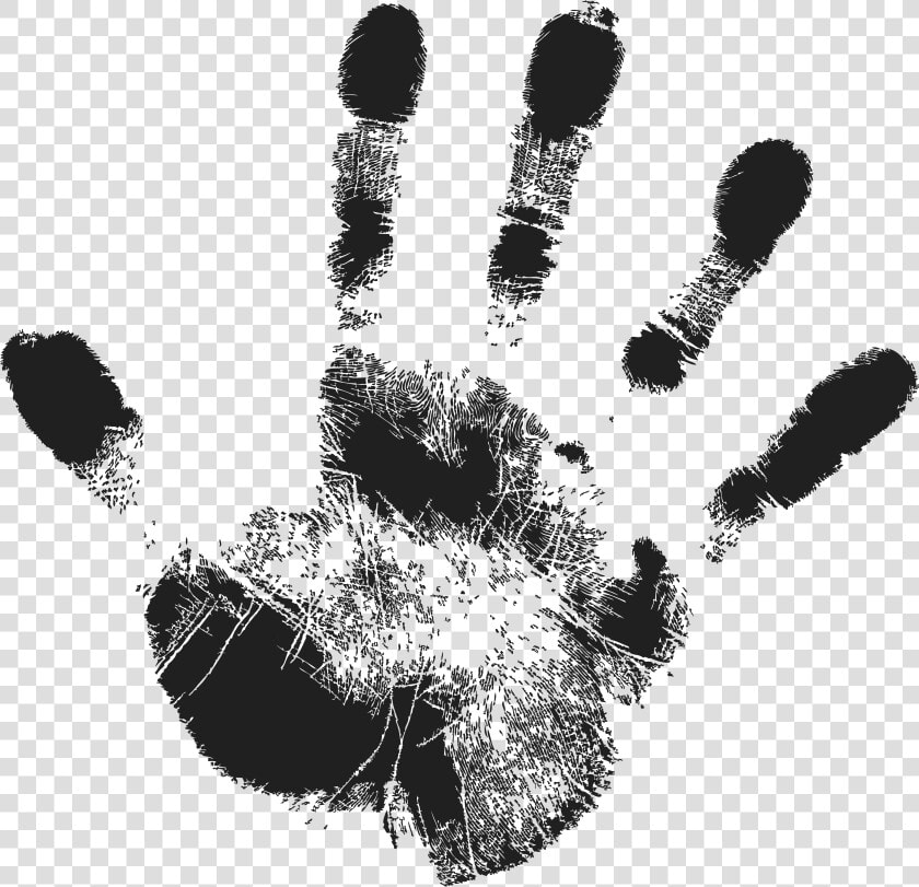 Primo Climbing Chalk Hand   Hand Vector Png  Transparent PngTransparent PNG