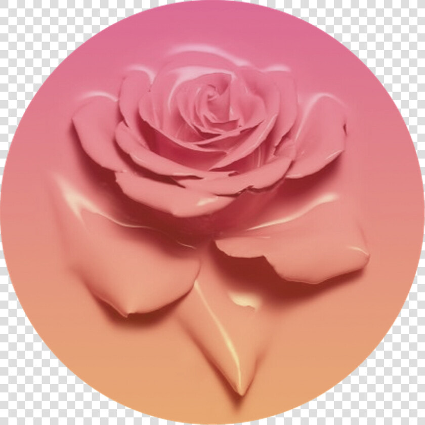 Icon Pink Fade Gradient   Rose Circle Icon  HD Png DownloadTransparent PNG