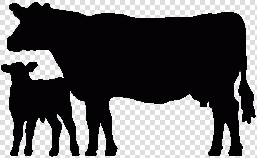 Black And White Farm Silhouette Clipart Panda   Cow And Calf Silhouette  HD Png DownloadTransparent PNG