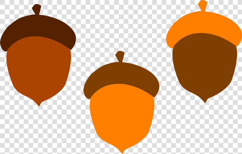 Eikel  Brown  Val  Voedsel  Boom  Orange  Eekhoorn   Acorns Clipart  HD Png DownloadTransparent PNG