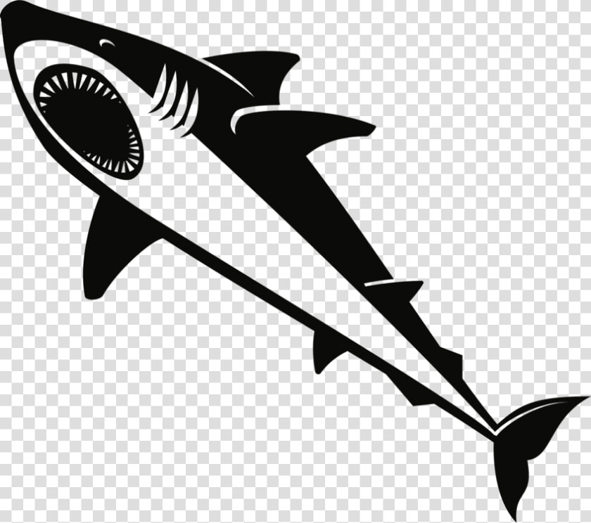 Lamnidae shark requiem Shark   Great White Shark  HD Png DownloadTransparent PNG