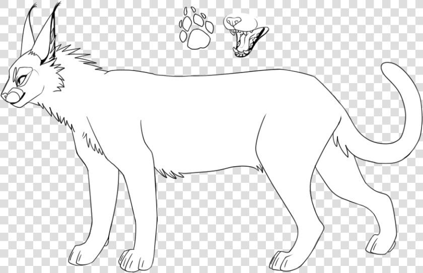 Bases And Lineart  HD Png DownloadTransparent PNG