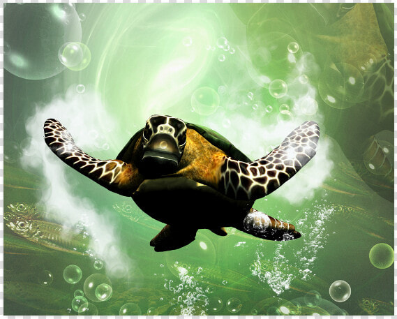 Cute Turtle Poster 20 X16   Hawksbill Sea Turtle  HD Png DownloadTransparent PNG