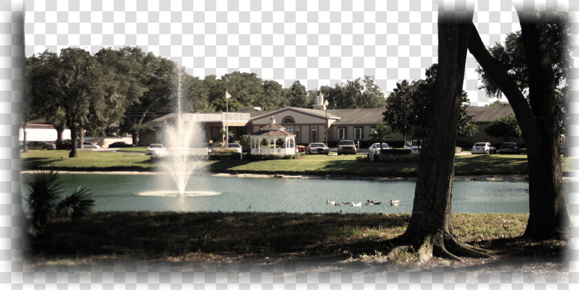 Assisted Living Hawthorne Village Brandon Florida  HD Png DownloadTransparent PNG