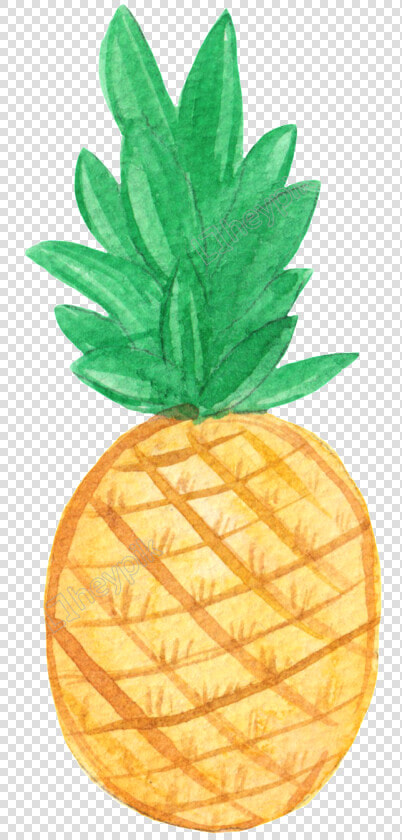 Drawn Pineapple Transparent   Pineapple Hello  HD Png DownloadTransparent PNG