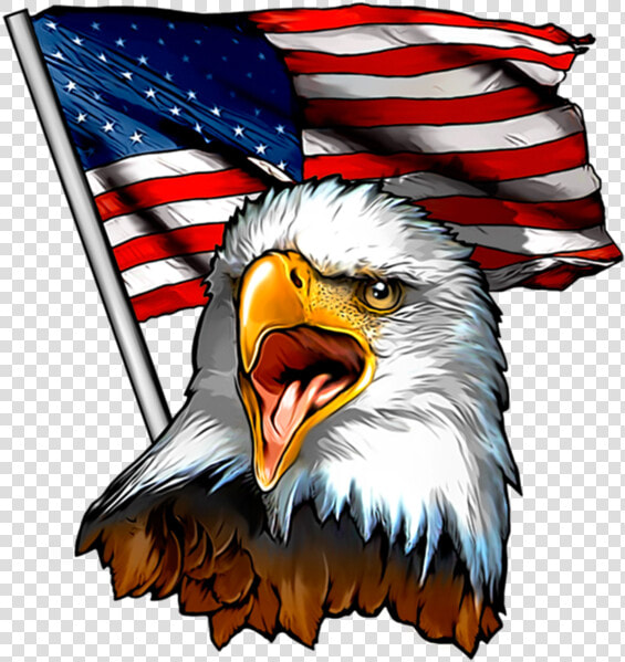 Flag And Eagle   Eagle Usa American Flag  HD Png DownloadTransparent PNG