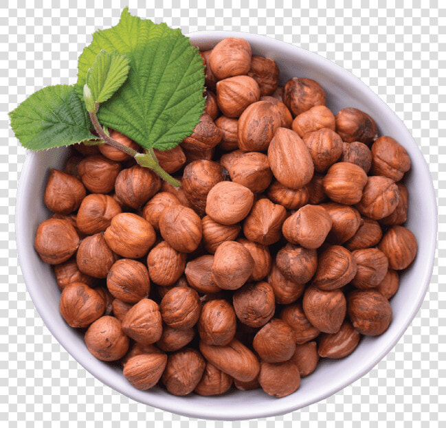 Hazelnuts Improve Older Adult’s Micronutrient Levels    Chocolate  HD Png DownloadTransparent PNG