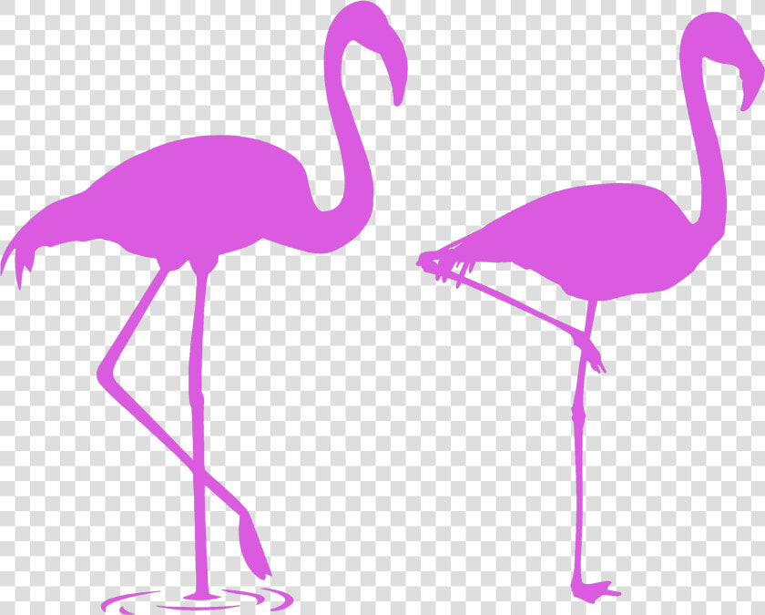  mq  pink  flamingo  flamingos  silhouette   Flamingo Stencils  HD Png DownloadTransparent PNG