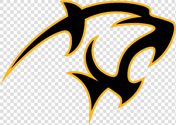 Transparent Panther Logo Png   Adelphi University Athletics  Png DownloadTransparent PNG