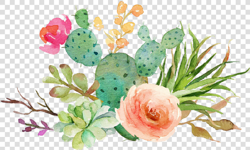 Transparent Watercolor Cactus Png   Watercolor Cactus Clipart Free  Png DownloadTransparent PNG