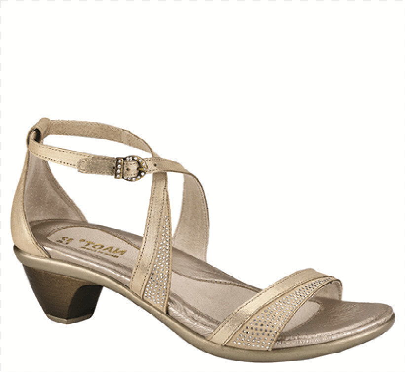 Onward Gold Threads   High Heels  HD Png DownloadTransparent PNG