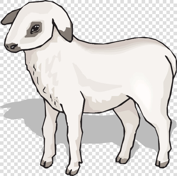 Lamb Svg Clip Arts   Animal Imagenes Con Sombra  HD Png DownloadTransparent PNG