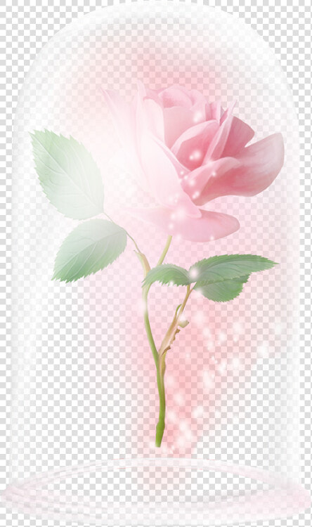 Floating Rose Beauty And The Beast Rose Enchanted Rose  HD Png DownloadTransparent PNG