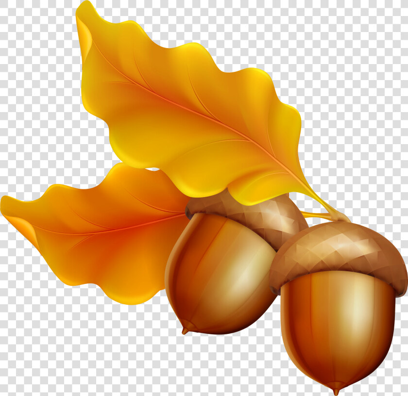 Acorn Leaf Oak Clip Art   Acorns And Leaves Clipart  HD Png DownloadTransparent PNG