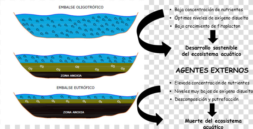 Obstruccion De Oxigeno En El Agua  HD Png DownloadTransparent PNG