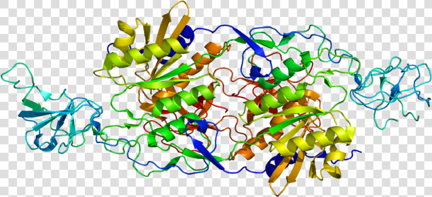 Protein Glrb Pdb 1t3e   Bapu Bommalu Of Vamana  HD Png DownloadTransparent PNG