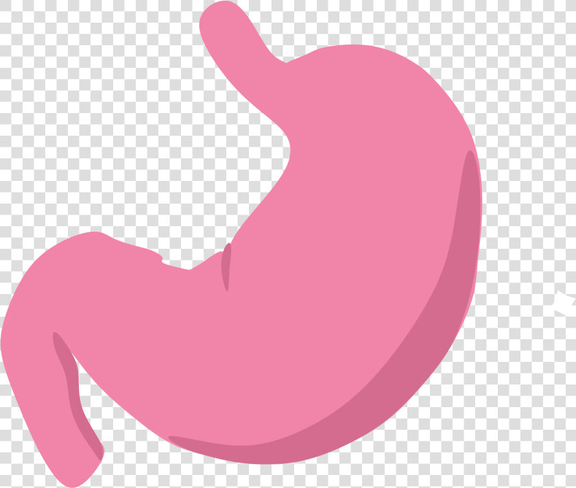 Transparent Stomach Pain Clipart   Transparent Stomach Clipart  HD Png DownloadTransparent PNG