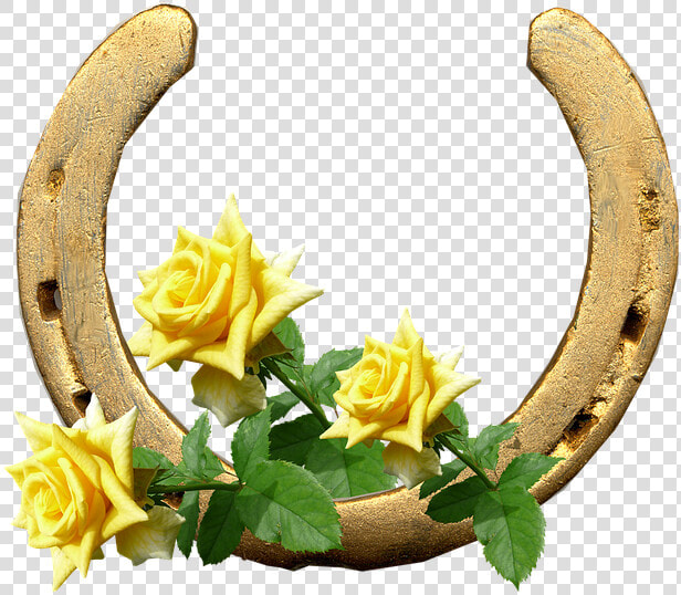 Transparent Gold Horseshoe Png   Imagenes De Herraduras Bonitas  Png DownloadTransparent PNG