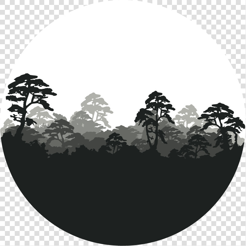 Forest Png   Circular Logo   Greenpeace Stand For Forests Logo  Transparent PngTransparent PNG