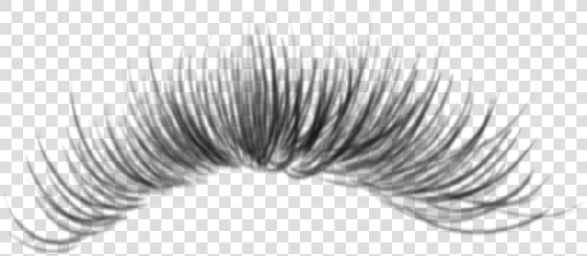  eyelashes  freetoedit   Eyelash Extensions  HD Png DownloadTransparent PNG