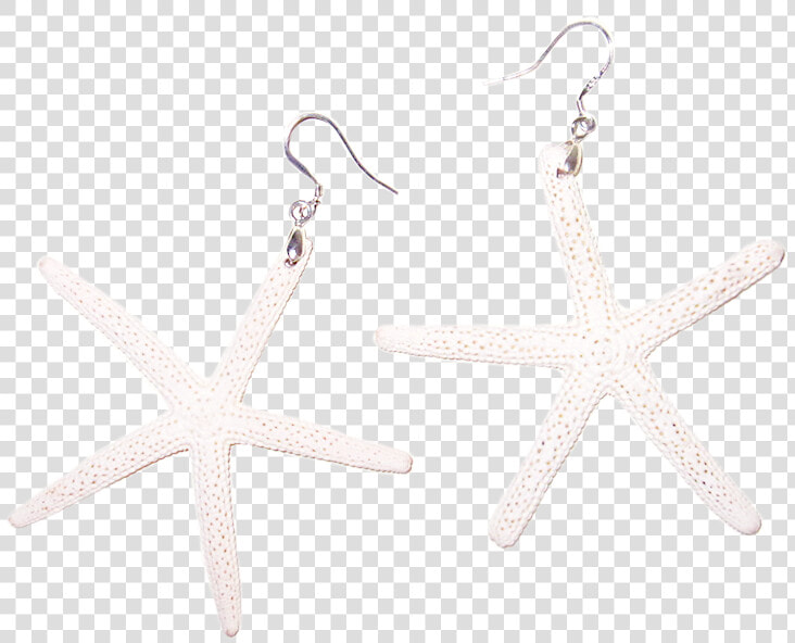 White Sugar Starfish Earrings   Earrings  HD Png DownloadTransparent PNG