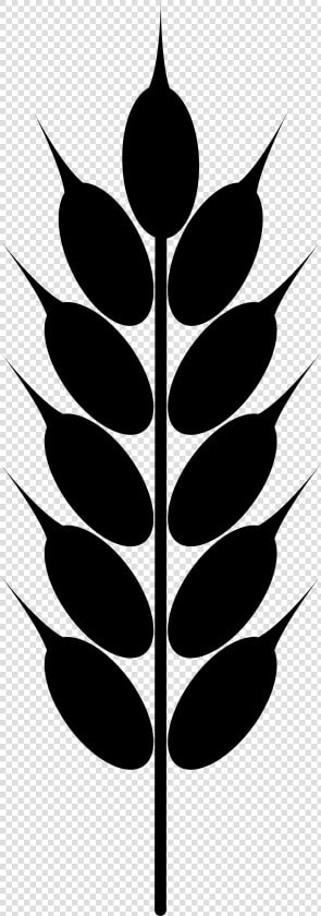 Clip Art Wheat   Wheat Png Black And White  Transparent PngTransparent PNG