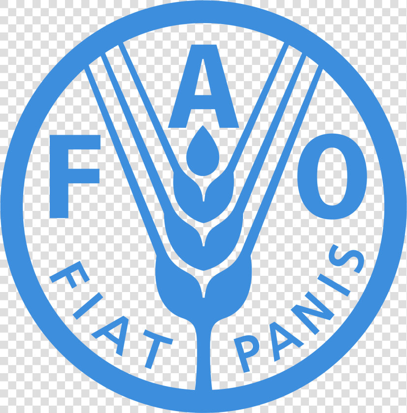 United Nation Food And Agriculture Organisation  HD Png DownloadTransparent PNG