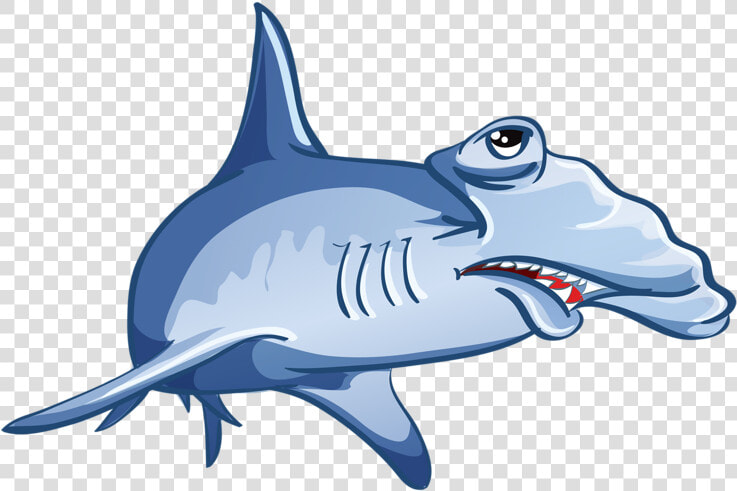 Shark Jaws Drawing   Shark Drawing Cartoon  HD Png DownloadTransparent PNG