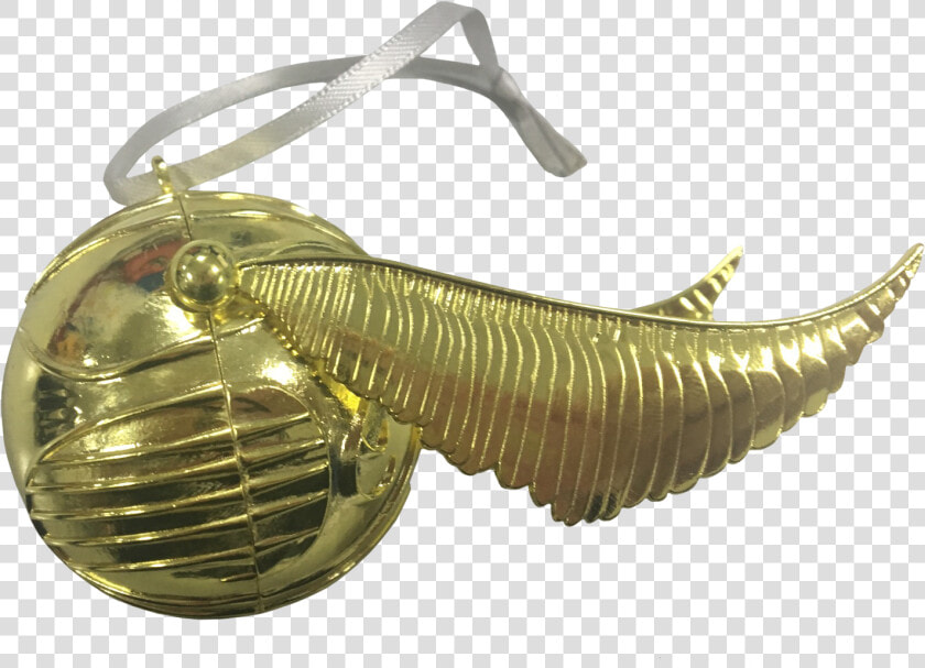 Carp  HD Png DownloadTransparent PNG