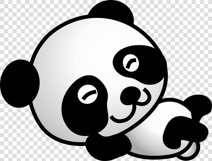 Panda Cartoon Png   Panda Cartoon Transparent Background  Png DownloadTransparent PNG