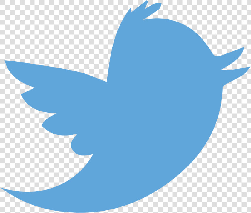 Twitter Logo Png Transparent Background   Transparent Background Twitter Logo  Png DownloadTransparent PNG