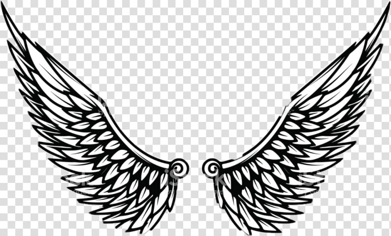 Eagle Wings Template Clipart   Png Download   Clip Art Eagle Wings  Transparent PngTransparent PNG