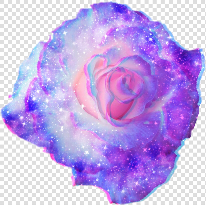 🚫❤ Forbidden To Use This Sticker As Yours🚫❤   Purple Flower Png  Transparent PngTransparent PNG