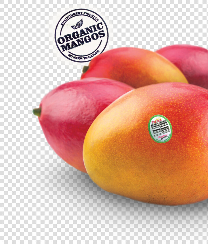 Nectarines  HD Png DownloadTransparent PNG