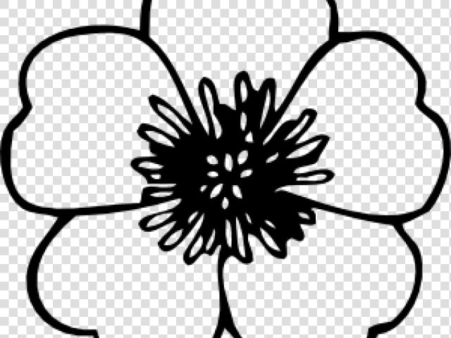 Morning Glory Clipart Mogra   White Flower Clipart No Background  HD Png DownloadTransparent PNG