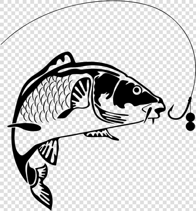 Koi Carp Fishing   Carp Fishing Clipart  HD Png DownloadTransparent PNG