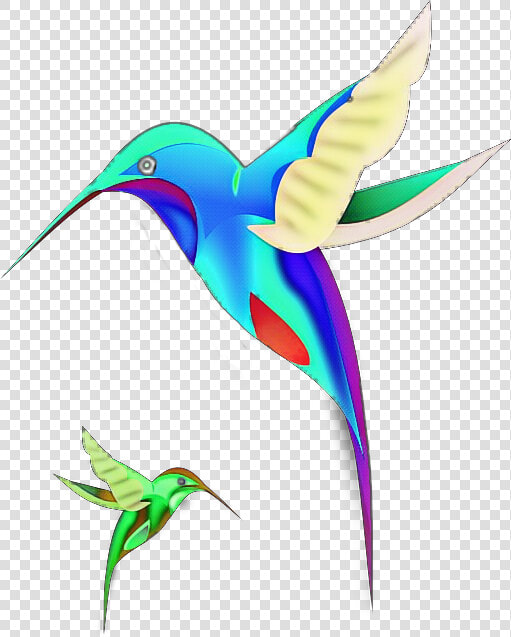  freetoedit  colibrí  pájaros  ave  volando  bird  lovely   Coraciiformes  HD Png DownloadTransparent PNG