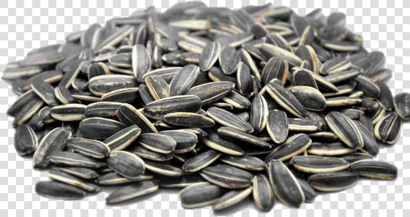 Many Calories In Sunflower Seeds  HD Png DownloadTransparent PNG