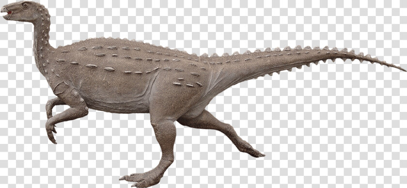 Scelidosaurus Bipedal  HD Png DownloadTransparent PNG