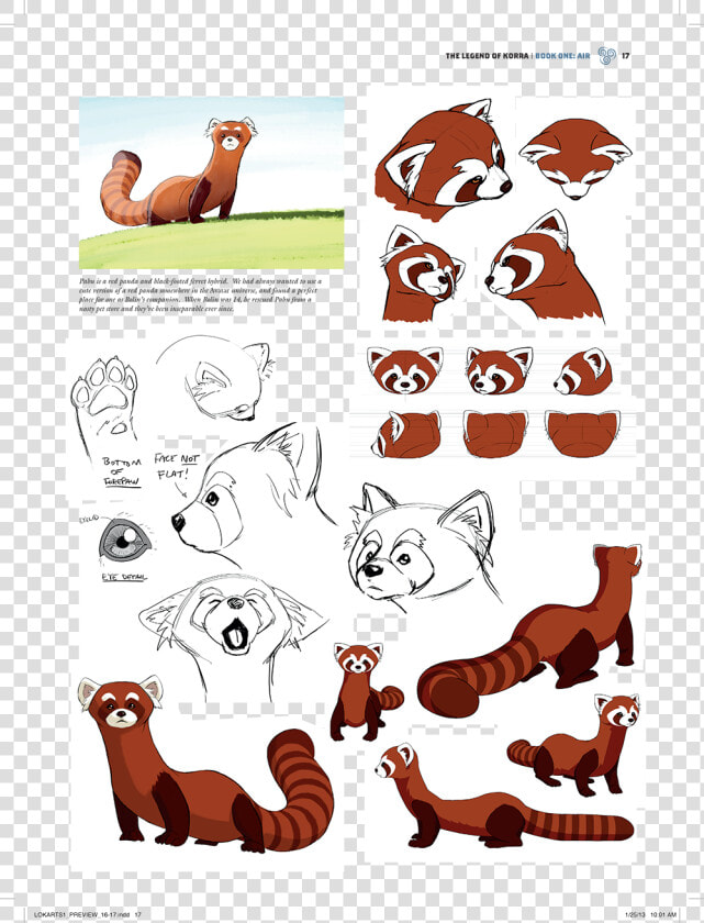 Black Footed Red Panda Ferret  HD Png DownloadTransparent PNG