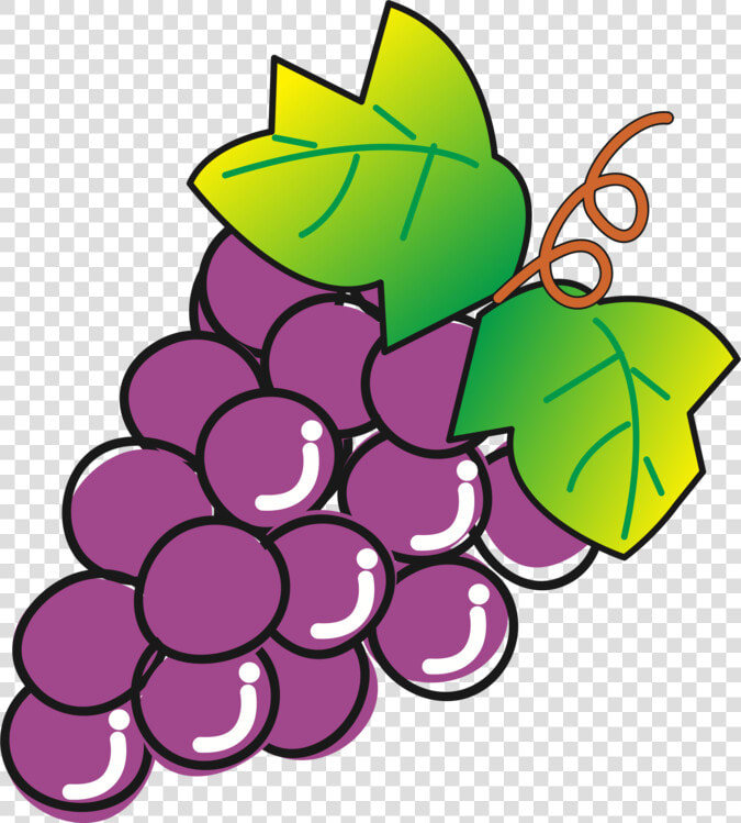 Seedless Fruit plant flower   Seedless Fruit  HD Png DownloadTransparent PNG