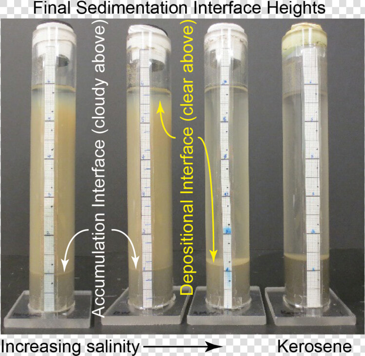 Photograph Of Sedimentation Test Definitions   Sedimentation Test  HD Png DownloadTransparent PNG