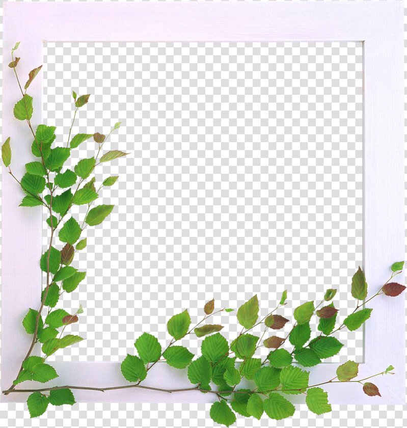 Marcos Para Fotos Con Flores   Bordes Marcos Png Flores  Transparent PngTransparent PNG