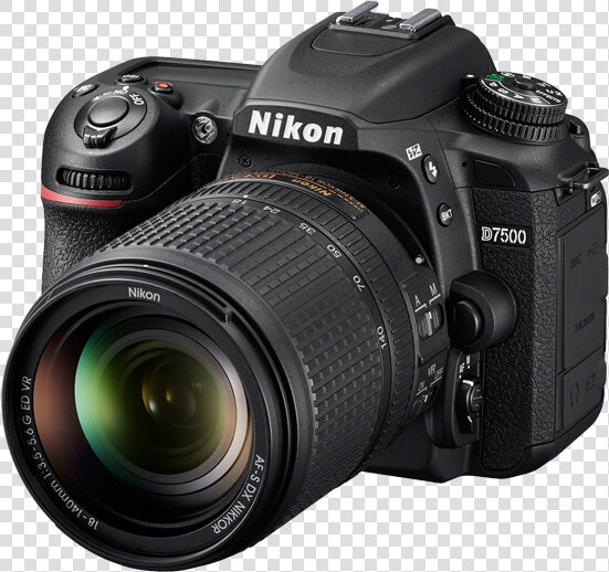 Nikon D7200 Vs D7500  HD Png DownloadTransparent PNG